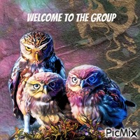 welcome owl アニメーションGIF