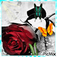 tc uğur böceği 1 - Ingyenes animált GIF