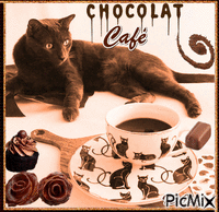 Café ou chocolat du chat GIF animé