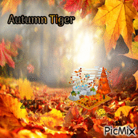 Autumn Tiger - Gratis animerad GIF