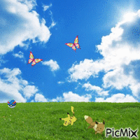pokemon animerad GIF