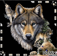 "Peinture de loup" - GIF animé gratuit