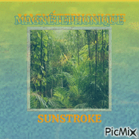 MAGNÉTEPHONIQUE - SUNSTROKE Animated GIF