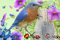 Bluebirds of Happiness - Free animated GIF