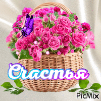 basket flor Animated GIF