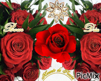 Rosas vemelhas Bom dia - Gratis animerad GIF