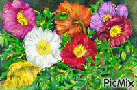 kvety animovaný GIF