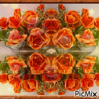 Rosen in meine Lieblingsfarbe geanimeerde GIF