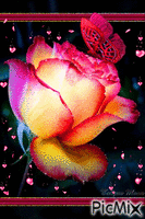 rózsa - Бесплатный анимированный гифка