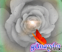 günYDın - Безплатен анимиран GIF