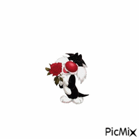 Gatto con rosa - GIF animate gratis