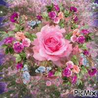 A  FLASHING BACKGROUND OF PURPLES AND PINKS, FLOWERS THE COLORS OS ORANGE, BLUE,PURPLE, OINK, AND LIGHT BLUE, AND A FEW MORE FLASHES. - GIF animado gratis