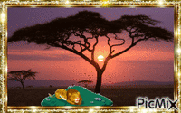 african_sunset-wide - GIF animasi gratis