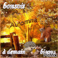 automne bonsoir - Zdarma animovaný GIF