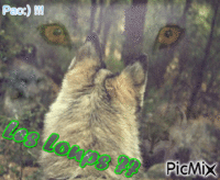 Loup - Ingyenes animált GIF