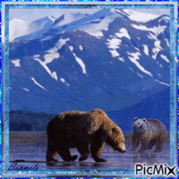 Urso GIF animata