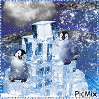 Pinguin - Ingyenes animált GIF