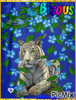 tigre sur fond bleu анимиран GIF