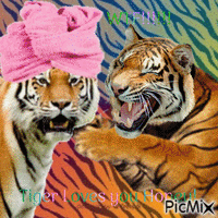 Funny Tiger Love animeret GIF