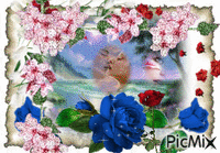 roses - Bezmaksas animēts GIF
