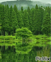 природа - Gratis geanimeerde GIF