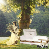 funeral 动画 GIF