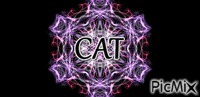 cat - GIF animé gratuit