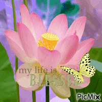 My life is blessed 动画 GIF
