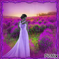 Woman in lavender field - Бесплатни анимирани ГИФ