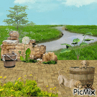 beautiful view from the porch animált GIF