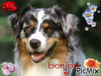 chien fleuri animovaný GIF