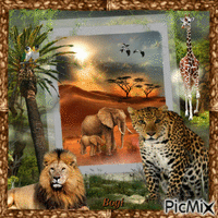 Wild animal world... Animated GIF