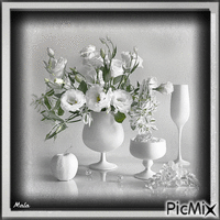 flowers white - Zdarma animovaný GIF