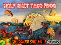 taco frog animēts GIF