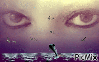 gecenin gözleri - Zdarma animovaný GIF