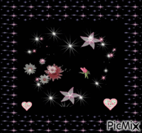 rosas e estrelas κινούμενο GIF