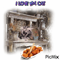 I Love My Cat geanimeerde GIF