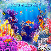 Have a Nice Day Coral Reef - GIF animé gratuit