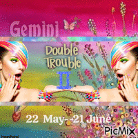 Gemini--Zwillinge--Zodiac - GIF animé gratuit