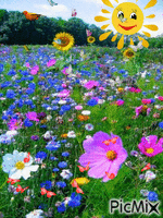 весна - 無料のアニメーション GIF