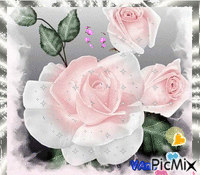 rózsa - GIF animado grátis
