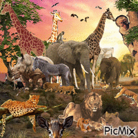 afrika Animated GIF