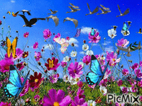 oiseaux - GIF animado grátis
