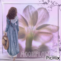 Blossom Dreams Animated GIF