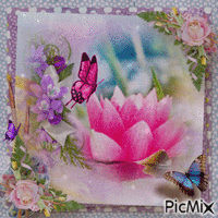 Fleur de lotus et papillons - GIF animé gratuit