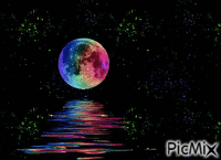 night love Animated GIF