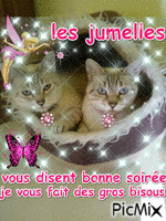 mes jumelles - Free animated GIF
