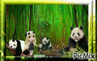 les pandas GIF animasi