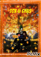 tox and chas