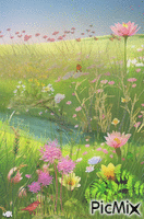 Hierba y colores Animated GIF